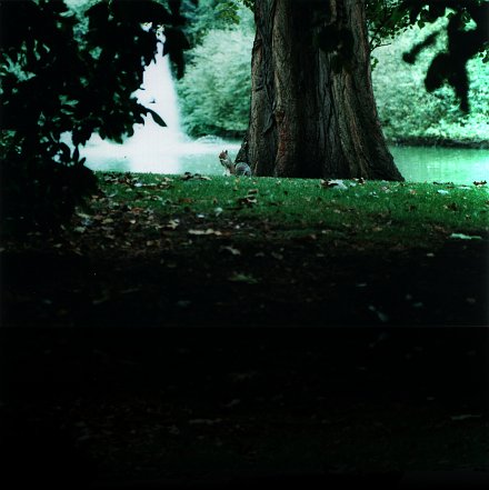 London - park